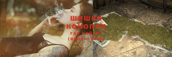 сатива Белокуриха