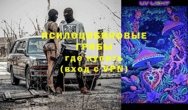 сатива Белокуриха