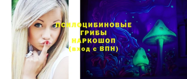 сатива Белокуриха