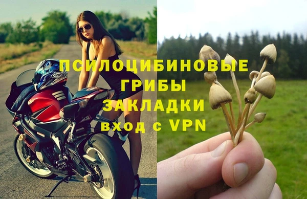 2c-b Богданович