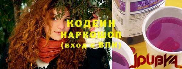 сатива Белокуриха