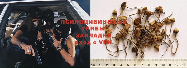 амф Покачи