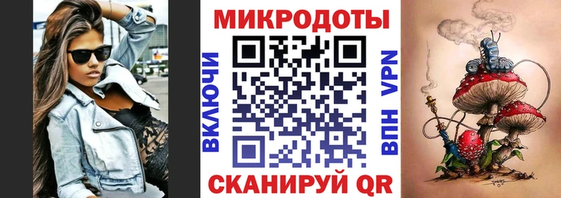 купить закладку Красный Кут Галлюциногенные грибы Psilocybe